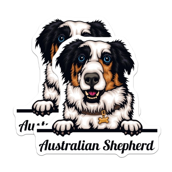 Cur Gift (2 Pack) Australian Shepherd Magnets - Dog Lover Gifts - Fridge - Pet ...