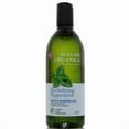 thumbnail image 1 of (2 Pack) Avalon Organic Botanicals Bath & Shower Gel Organic Peppermint 12, 1 of 3