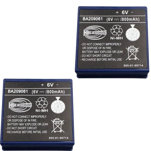 (2-Pack) BA209061 6V 800mah Ni-MH Battery for HBC BA209061 Remote Control Pump Truck Battery
