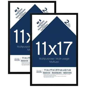 2-Pack Basics Multipurpose Frames by Studio Décor®