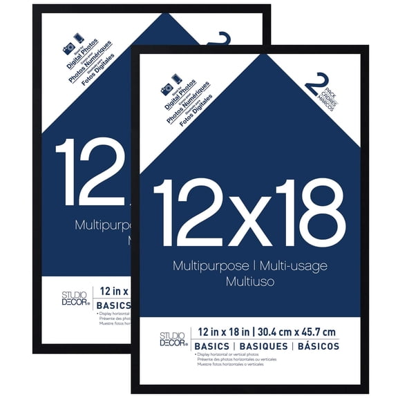 Studio Decor 2-Pack Basics Multipurpose Frames