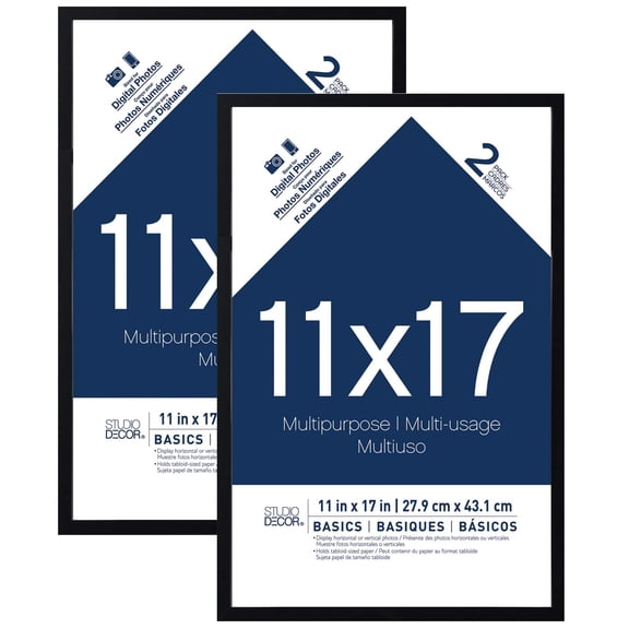 Studio Decor 2-Pack Basics Multipurpose Frames