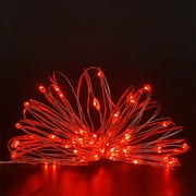 2 Pack Battery Operated Mini String Light,Indoor Led Fairy Light with Timer 6 Hours on/18 Hours Off for Craft Clear Vase Decoration,30 Count LED,10 Feet Silver Wire (Red)