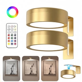 2 Pack Battery Operated Picture Light, Picture Lights for Wall, LED Painting Light with Remote Dimmable Timer, 3 Color Temps and 13 RGB, Poster Lights for Photo Wall Decor, Gold