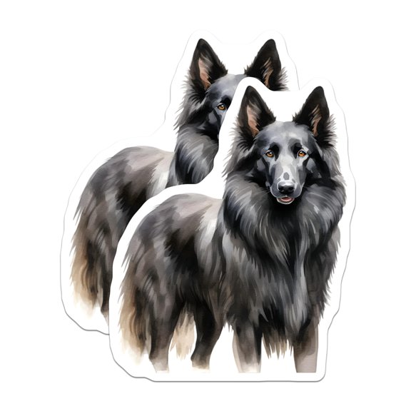 (2 Pack) Belgian Sheepdog Magnets - Groenendael Watercolor Art - Canine Refrigerator Decor - Black Dog Owner Accessory - 5 Inches On Longest Side - Thick Durable Magnet - Made in USA - MAG26236