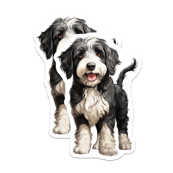 (2 Pack) Bernedoodle Puppy Magnets - Fluffy Dog Decor - Cute Pet Accessories - 5 Inches On Longest Side - Thick Durable Magnet - Made in USA - MAG23993