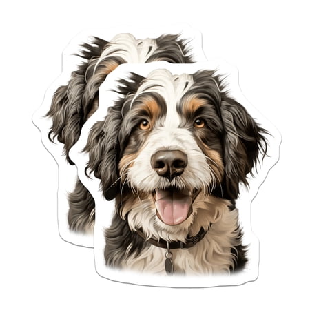 (2 Pack) Bernedoodle Puppy Magnets - Happy Dog Decor - Animal Fridge Display - 5 Inches On Longest Side - Thick Durable Magnet - Made in USA - MAG23796