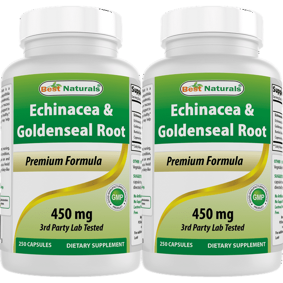 2 Pack Best Naturals Echinacea Goldenseal 450 mg 250 Capsules