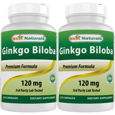 2 Pack Best Naturals Ginkgo Biloba 120 mg 120 Capsules | Cognitive Health Support
