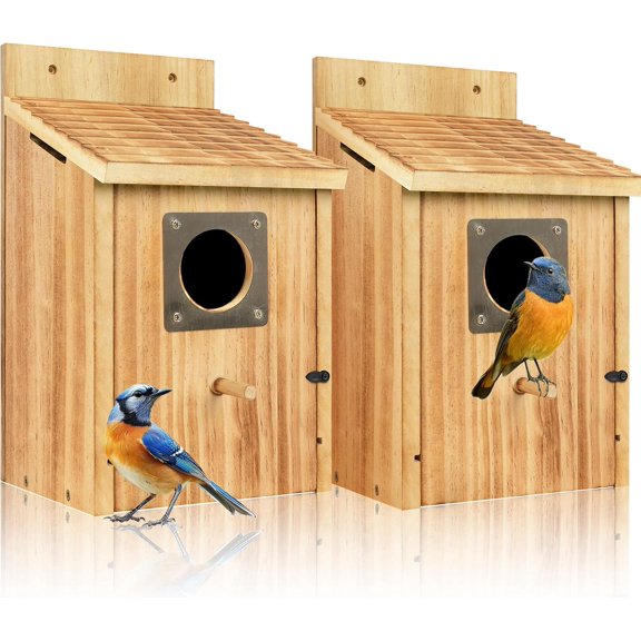 2 Pack Bird Houses for Outside - Cedar Bluebird Houses with Metal Predator Guard, Birdhouse for Wren Bluebirds Finches Swallows, Carbonized Wooden (Assembly Required)