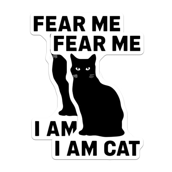 (2 Pack) Black Cat Magnets - Funny Cat Meme - Cat Lover Refrigerator Magnets - 5" On Longest Side - Premium Magnet - for Cars, Refrigerators, Toolboxes, Lockers - Made in USA - MAG15186