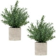 2 Pack Black Fake Eucalyptus Small Fake Plants Potted Artificial Plants