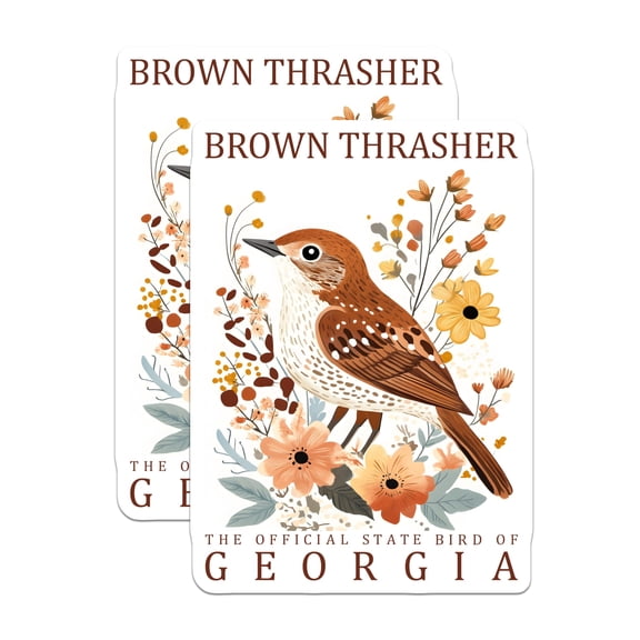 (2 Pack) Brown Thrasher Magnets - Georgia State Bird Art - Botanical Wildlife Decor - 5 Inches On Longest Side - Thick Durable Magnet - Made in USA - MAG19301