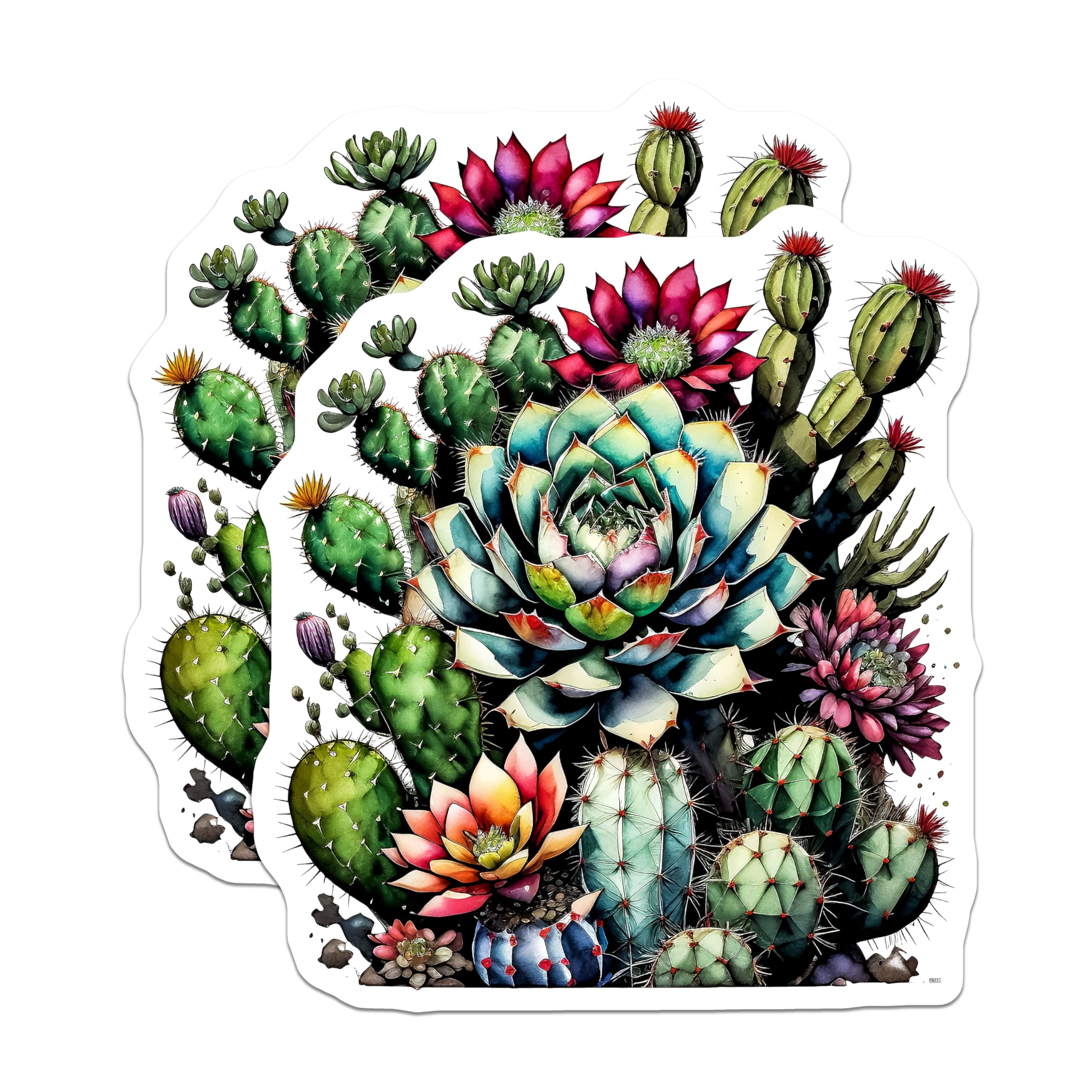 Succulent Magnets