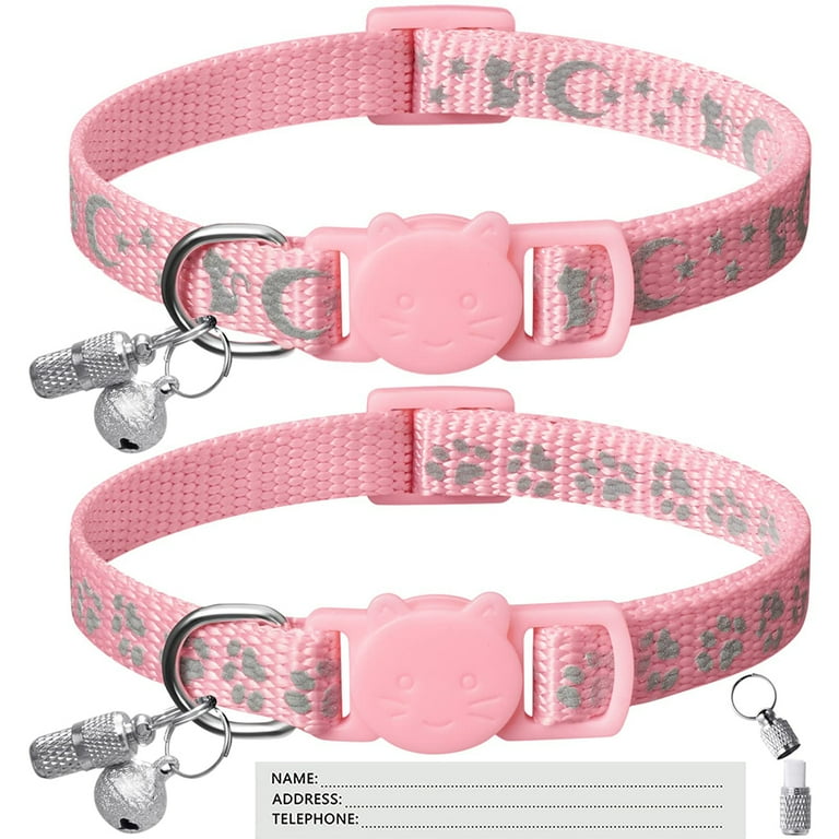 Fashionable cat collars store