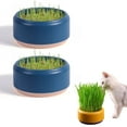 thumbnail image 1 of 2 Pack Cat Grass Planter Trianu Hydroponic Cat Grass Cup Household Cat Grass Box Nursery Cat Plant for Indoor Cats, Blue-None SEEDS, 1 of 7