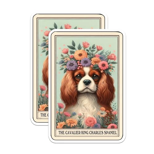 (2 Pack) The Cavalier King Charles Spaniel Magnet- Cavalier King Charles Dog Breed - 5" On Longest Side - Premium Magnet - for Cars, Refrigerators, Toolboxes, Lockers- Made in USA - MAG0740
