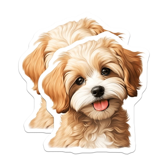 (2 Pack) Cavapoo Puppy Magnets - Cute Fluffy Dog Decor - Refrigerator Locker Magnets - 5 Inches On Longest Side - Thick Durable Magnet - Made in USA - MAG23385