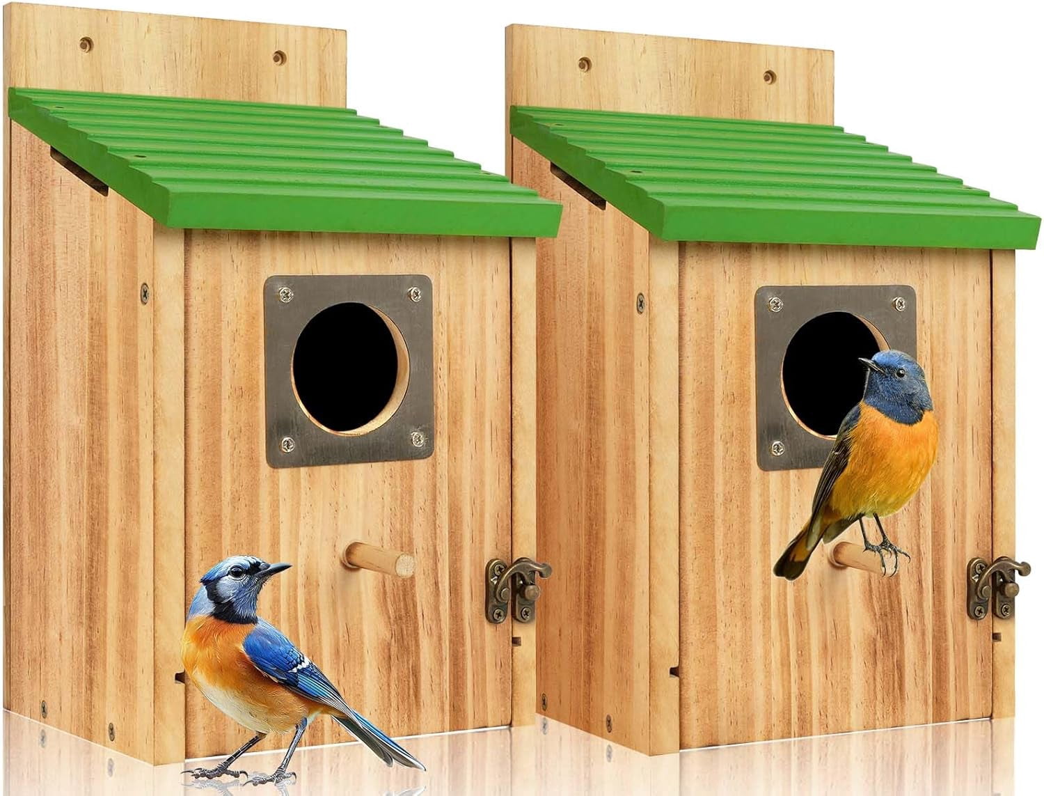 2 Pack Cedar Bird Houses with Metal Predator Guard | Outdoor Bluebird ...