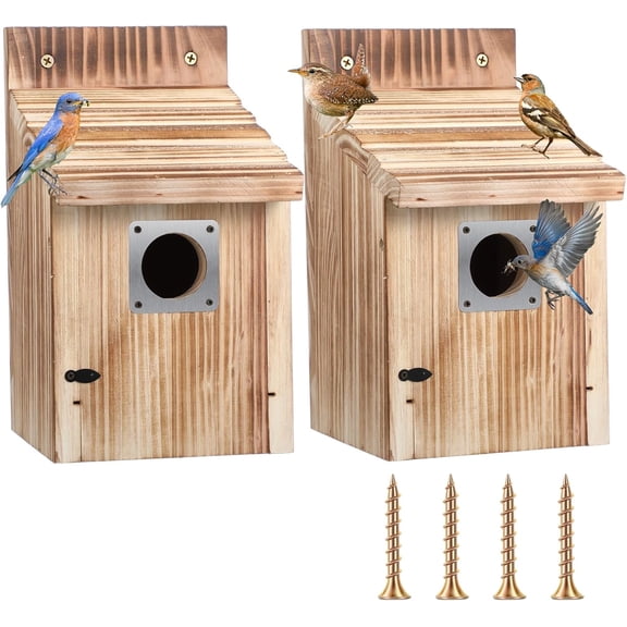 2 Pack Cedar Bluebird Box Houses for Outside, 1-1/2 Entrance Hole Wooden Bird Houses with Metal Predator Guard, Secure Latch, Fledgling Grooves, Air Vents for Bluebird Wren Swallow Finch