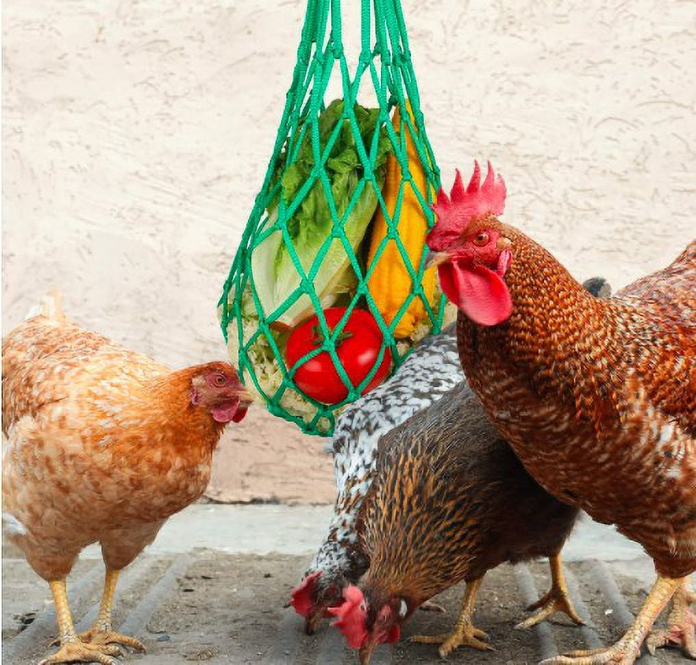 2 Pack Chicken Vegetable String Bags - Poultry Fruit Holder - Cabbage ...