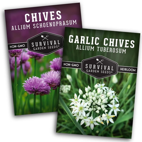 2 Pack Chive Seed Collection - Garlic & Common Chives - Full Sun Perennial Herb Seeds
