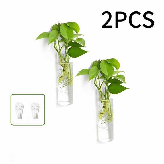2 Pack Clear Glass Planters, 5.9 Inch Height 1.85 Inch Diameter, Wall Mount Glass Vases for Water Plants, DIY Plant Propagation Station, Simple Household Decor Vases
