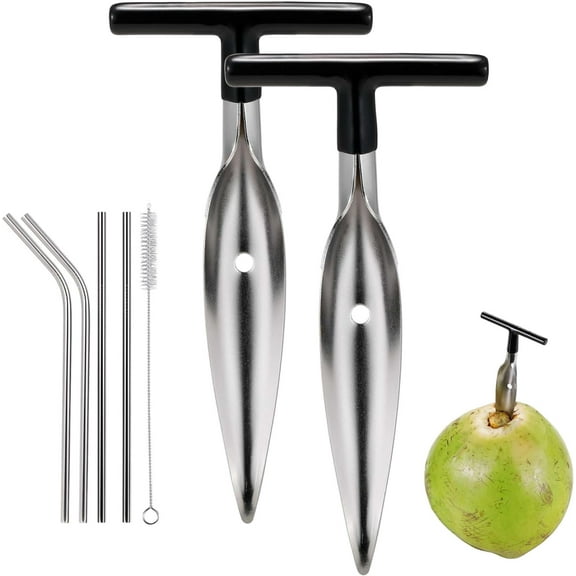 2 Pack Coconut Opener Tool Set with 4 Reusable Straws & Brush, Food Grade Stainless Steel Coco Nut Bottle Opener for Young Thai Green Fresh Coconut Water, Safe and Convenient Coco Drill Punch Tool