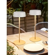 2 Pack Cordless LED Table Lamp, Aluminum Portable Rechargeable Desk Lamp, Dimmable Touch Lamps for Bedroom Living Room Restaurant Patio, White