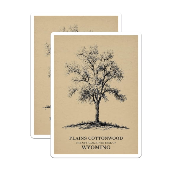 (2 Pack) Cottonwood Tree Magnets - Wyoming State Tree - Botanical Magnets - 5" On Longest Side - Premium Magnet - for Cars, Refrigerators, Toolboxes, Lockers - Made in USA - MAG17864