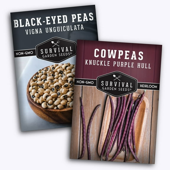 Cowpea Seeds 2 Pack Collection - Black Eyed Pea, Knuckle Purple Hull - Full Sun Annual Vegetable