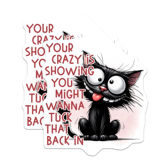 (2 Pack) Crazy Cat Stickers - Funny Cat Meme - Sarcastic Humor Stickers - 5" On Longest Side - Sticks to Smooth Flat Surfaces - Made in USA - BMCS15320