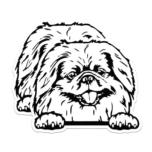 (2 Pack) Dog Magnets - Cute Dog Face Magnets - Puppy Animal Magnet - Home Fridge ation Magnet - 5" On Longest Side - for Cars, Fridges, Toolboxes - Made in USA - MAG4047