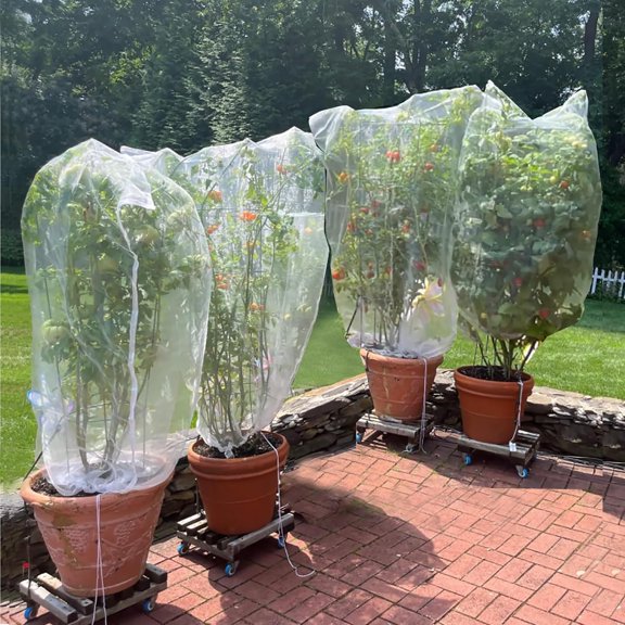 2 Pack Drawstring Blueberry Netting for Bushes - Easy Install Reusable Garden Netting, Protective Mesh for Fruit Trees & Tomato Plants, Blocks Birds, Squirrels & Insects