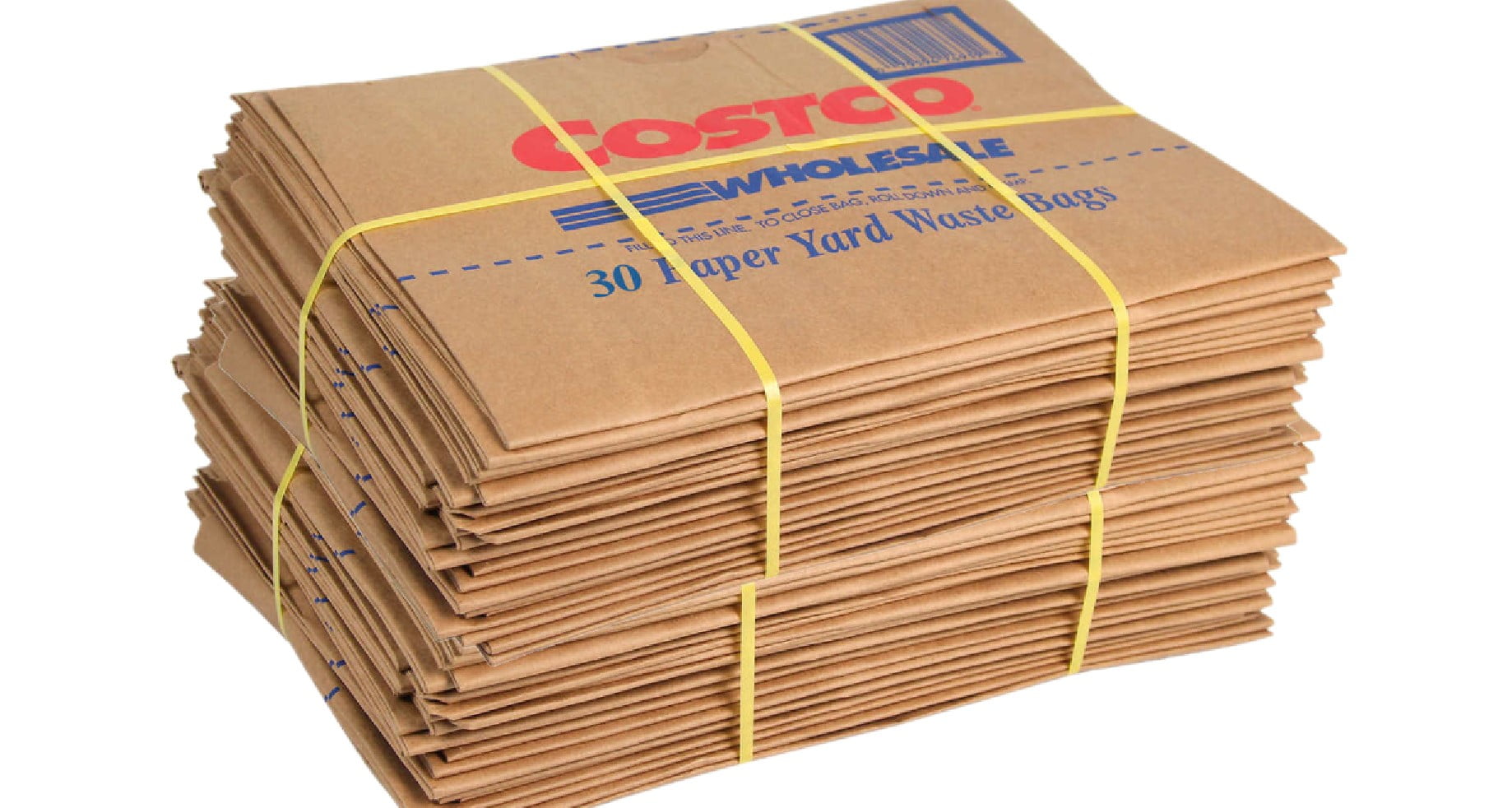 2 Pack Duro Paper Lawn & Leaf Bags, 30 Gallon, 30 ct