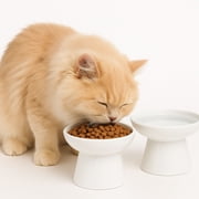 2-Pack Elevated Ceramic Cat Bowls, 10oz Raised Pet Food and Water Dishes, Whisker-Friendly Wide Shallow Design, Non-Slip Base, Microwave & Dishwasher Safe, For Cats and Small Dogs