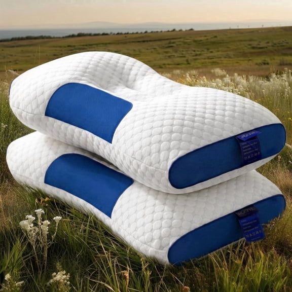 2-Pack Ergonomic Neck Pillows for Deep Sleep, Adjustable Contour Support Pillows with High-Quality Pillow Cores(Blue and White)