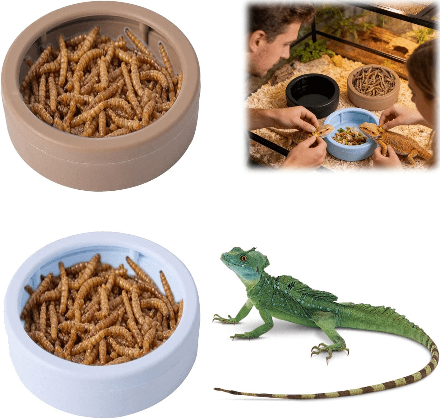2 Pack Escape Proof Reptile Food Dish, Small Plastic Mealworm Feeder ...