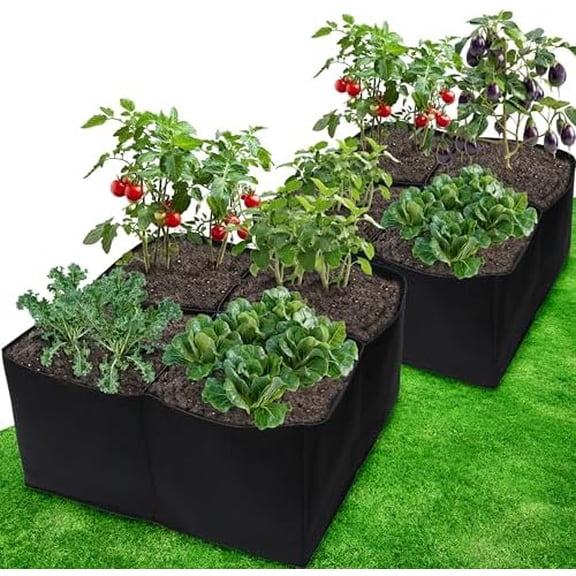 2 Pack Fabric Raised Garden Beds, 2x2x1 FT – 4 Grids Grow Bed for Square Foot Gardening, Planting Box for Vegetables, Herbs, Flowers