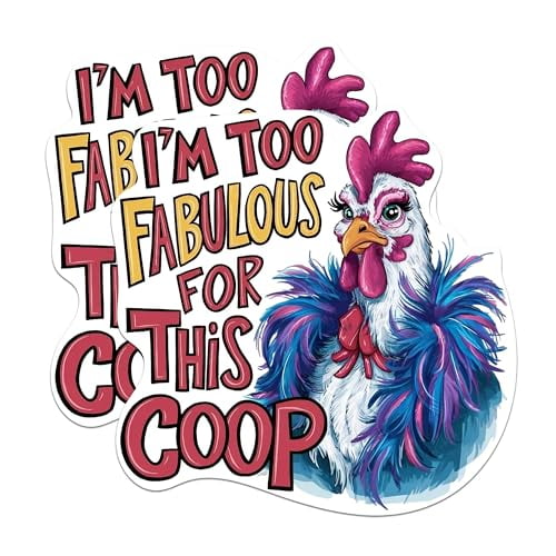 (2 Pack) I'm Too Fabulous for This Coop Magnets - Chicken Farmer Funny Sassy Sarcastic - 5 Inches On Longest Side - Premium Magnet - for Cars, Refrigerators, Toolboxes - Made in USA - MAG2146