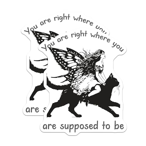 (2 Pack) Fairy Decorative Magnets - Inspirational Quote Magnets - Fantasy Art Magnets - 5" On Longest Side - for Cars, Fridges, Toolboxes - Made in USA - MAG5951