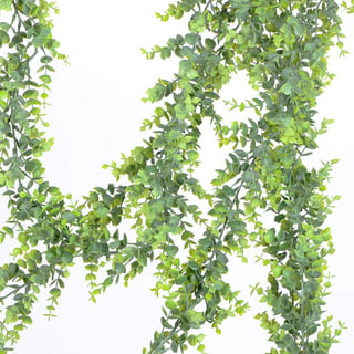Lvydec 2 Pack Artificial Eucalyptus Garland, Fake Eucalyptus Greenery Garland Wedding Backdrop Arch Wall Decor, 6 Feet/Strand