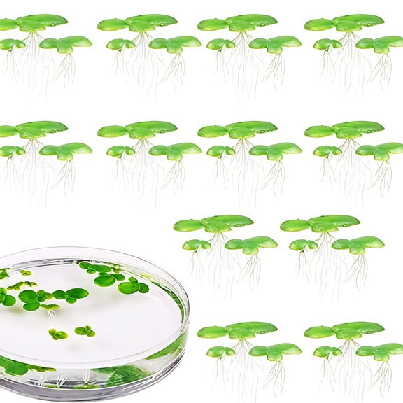 2 Pack Floating Artificial Duckweed Fish Tanks Decorations Sunlight Barrier Algae Control Solution