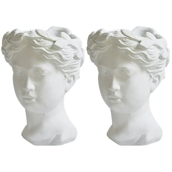 2 Pack Flowerpot Personalized Decoration Unique Vase Miss