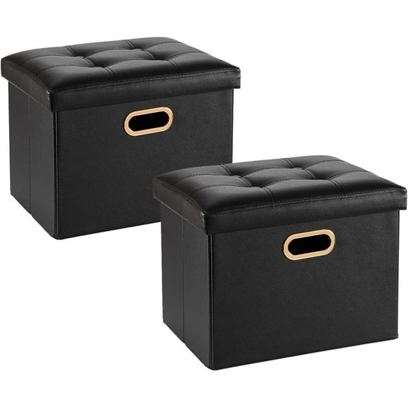 2 Pack Folding Storage Ottoman, 16 inch PU Leather Small Ottoman with Storage Foldable, Set of 2 Faux Leather Foot Stool Support 260lbs for Living Room, Bedroom, Hallway, Black