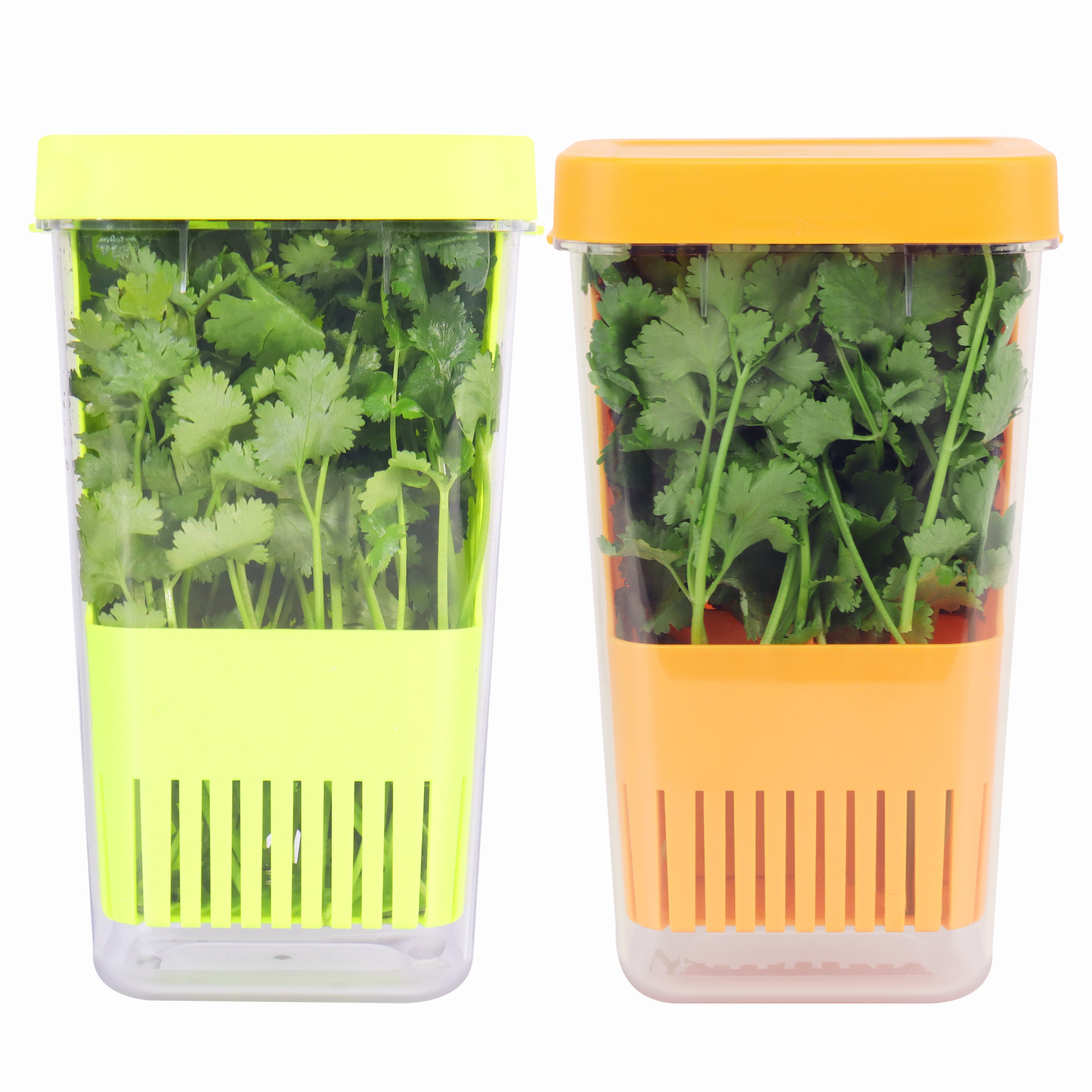 2 Pack Fresh Herb Keeper, Herb Storage Container for Refrigerator, Herb