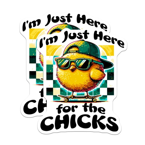 (2 Pack) Funny Chick Magnets - Skateboard Bird Art - Humorous Refrigerator Decor - Cool Animal Vibes - Witty Statement Piece - 5 Inches On Longest Side - Thick Durable Magnet - Made in USA - MAG21182