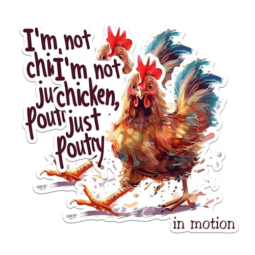 (2 Pack) Funny Chicken Magnets - I'm Not Chicken Just Poultry in Motion Magnets - Humorous Kitchen Decor Magnets- 5" On Longest Side - for Fridges, Toolboxes, Cars - Made in USA - MAG2599
