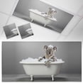 thumbnail image 1 of 2 Pack Funny Cola Fluorescent Light Covers for Ceiling Lights Bathtub Bathtub Animals Magnetic Ceiling Light Covers Overhead Light Filters for Office Classroom Home, 1 of 9