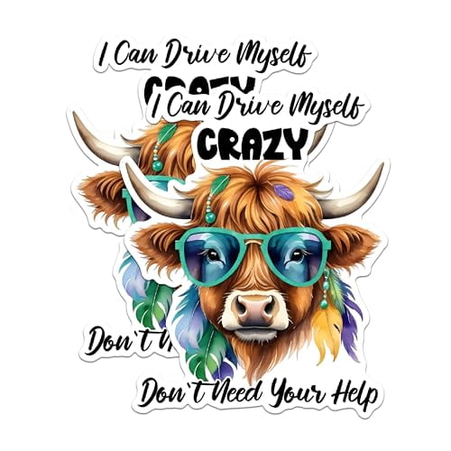 (2 Pack) Funny Highland Cow Magnets - Crazy Cow Quote Magnets - Animal Pun Magnets for Fridge and Office Decor- 5" On Longest Side - for Fridges, Toolboxes, Cars - Made in USA - MAG2933